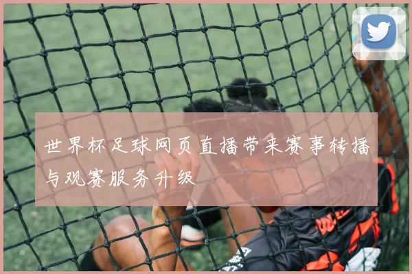 世界杯足球网页直播带来赛事转播与观赛服务升级