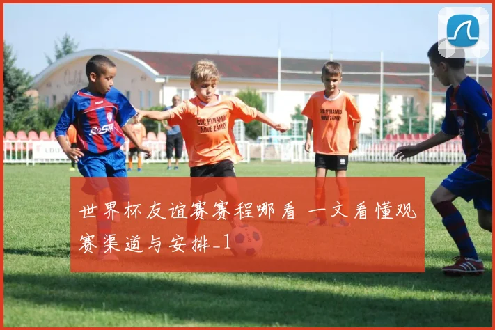 世界杯友谊赛赛程哪看 一文看懂观赛渠道与安排_1
