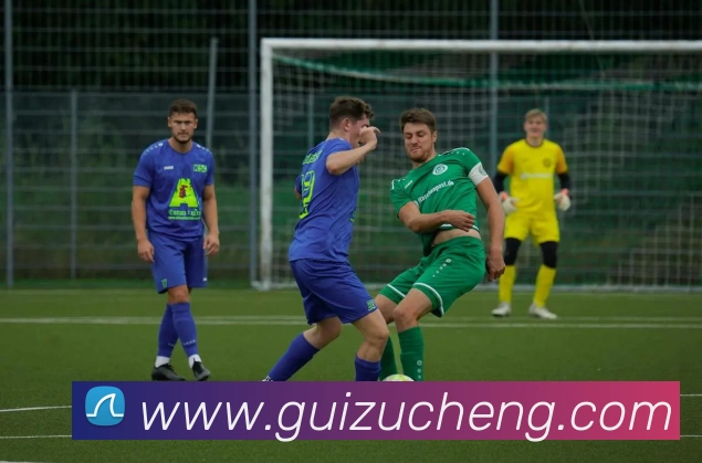 世界杯平台官网登录发展历程